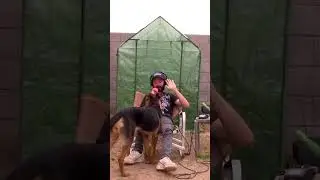 Wisdom From a Talking Dog #dog #shorts