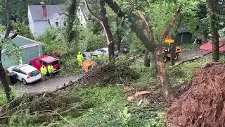 Damage in Harrisburg from storm Debby