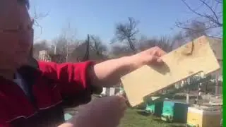 Пыльцеуловитель для ульев из ППУ
