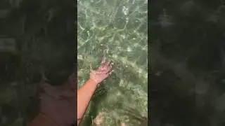 Прозрачное море во Вьетнаме, безопасный пляж в Дананге 