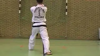 Таэквон-до Тули Техника выполнения Taekwon-do ITF  12gebaek