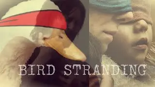 A Quiet Bird Box Place Death Stranding (Or Why The Content Wars have only Just Begun)