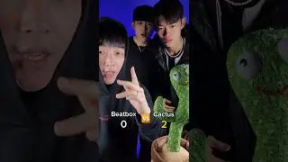 Cactus vs Beatbox 