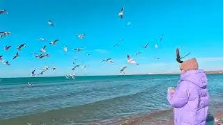 7.01.С Рождеством Христовым. Анапа.