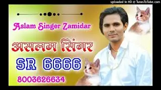 Aslam_Mewati SR_6666(128k) New Mewati song