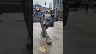 Huge Lion in Norway Oslo   🇳🇴 نمر ضخم stor løve