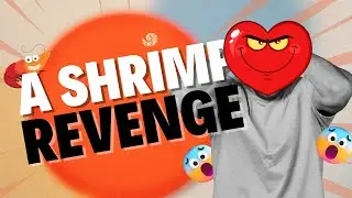 Divorce, Revenge, and the Unexpected Twist!