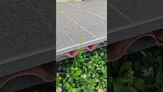 30 giorni senza lavare i pannelli