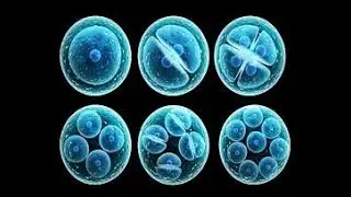 Biology 3300 Intro
