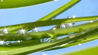 Gert Blokzijl - Nostalgia