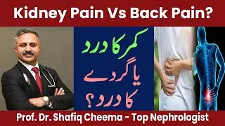 Musculoskeletal Back pain Vs Kidney Pain or Renal Colic | 5 Differences