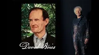 The David Boies Portrait