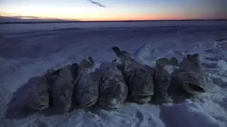 Проверка перемета 02.12.23. Есть качество, но нет количества