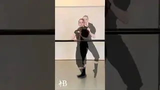 Ballet Pointe Work with Cat #cat #ballet #shorts