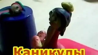 Сигняшки 