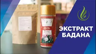Экстракт корней бадана толстолистного полезен при плохом метаболизме
