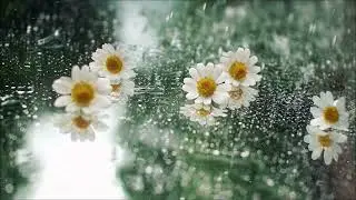 B. J. Thomas - Raindrops keep falling on my head