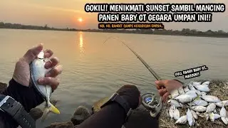 MUDAHNYA PANEN BABY GT KALAU PAKAI TEKNIK INI!! Mancing baby gt teknik dasaran spot muara Kertojayan
