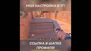 HAMSTER KOMBAT! ❤️ | #shorts #standoff2 #br1an