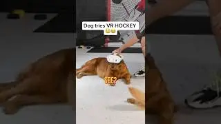 Disaster waiting to happen… 😬 #hockey #vrhockey