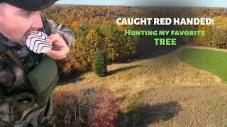 We WON a Ohio LOTTERY tag! | Week 4