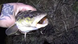 Весенняя ловля налима на донки на тюльку, на червя, спиннинг в минусовую погоду, ловля на мандулу,