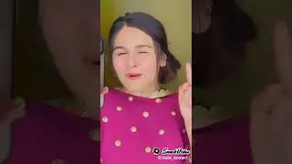 tiktok videos