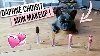 MY DOG CHOOSES MY MAKEUP !!