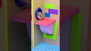 The Awesome Hamster Ball Maze 