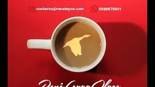 Segundo Café de Autodescubrimiento