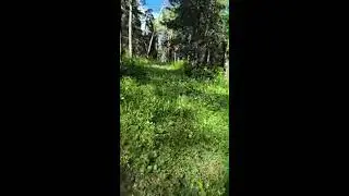 Er -Erka в прямом эфире! первый эфир на канале!