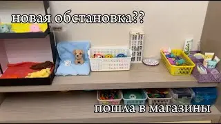 СКВИШ СОБАЧКИ|Новая обстановка;кб,фикспрайс