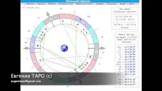 Красная или синяя таблетка? Горькая правда или сладкая ложь?