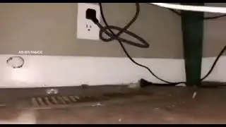 Вот ю ноу єбаут рол
