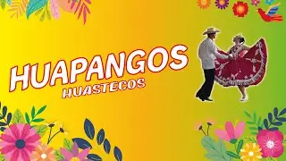 MIX HUAPANGOS HUASTECOS | VARIOS TRÍOS