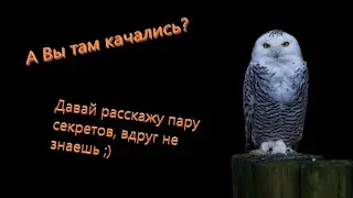 Lineage 2 Essence.  Обзор локаций в обновлении Ассасин.