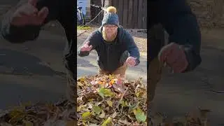 Leaf Dive