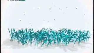 Planet Türk (Logo Ident - 2011)