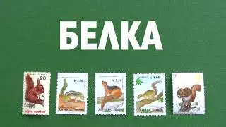 Белка