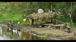 Проезд Донелайтиса, Сходненская чаша. Где находилась деревня Петрово.
