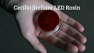 Cecilia Stellare LED Rosin for Violin, Viola, and Cello