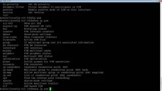 CONFIGURING PIM DENSE MODE