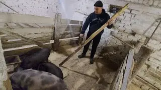 Был один на хозяйстве. Без работы они меня не оставят.