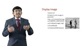 DIP using Python and OpenCV Programming