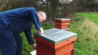 DuB-EnG: Pete's Bees - oxalic acid - Home brew honey - bee keeping - organic random interview