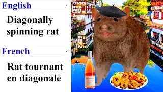 High quality diagonally spinning rat in different languages meme