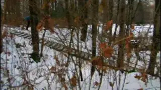 AWOL One - Rhythm (HD Snowboarding)