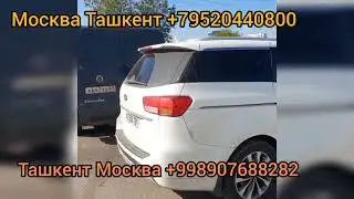Москва Ташкент енгил мошина Россия Ташкент легковой авто 