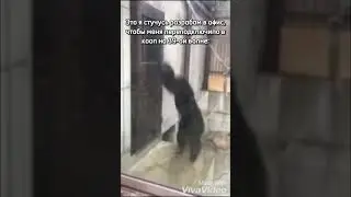 Переподключение на 39-ой волне в кооп #рашрояль #rushroyale #meme #мем #мобильныеигры #mobilegame
