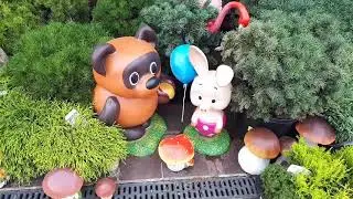 Vlog: Питомник  хвойных ,готовлю цветы кабачка.